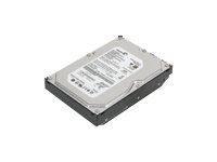 Lenovo - Harddisk - 1 TB - intern - 3.5" - SATA 3Gb/s - 7200 rpm - buffer: 32 MB 45J7918