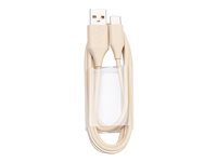 Jabra - USB-kabel - USB (hann) til 24 pin USB-C (hann) - 1.2 m - beige 14208-33