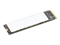 Lenovo Gen3 - SSD - kryptert - 2 TB - intern - M.2 2280 - PCIe 4.0 x4 (NVMe) - TCG Opal Encryption 2.0 - for Legion T5 26; ThinkCentre M70q Gen 5; M70t Gen 5; M75s Gen 5; ThinkCentre neo Ultra 12 4XB1N36076