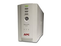 APC Back-UPS CS 325 - UPS - AC 230 V - 210 watt - 350 VA - utgangskontakter: 4 - beige BK325I