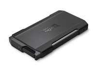 SanDisk Professional PRO-BLADE TRANSPORT - SSD - 2 TB - ekstern (bærbar) - USB 3.2 Gen 2x2 (USB-C kontakt) SDPM2NB-002T-GBAND