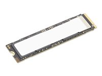 Lenovo - SSD - kryptert - 2 TB - performance - intern - M.2 2280 - PCI Express 5.0 x4 (NVMe) - TCG Opal Encryption 2.0 - CRU - for ThinkPad X1 2-in-1 Gen 10; ThinkStation P3 Gen 2; P3 Tiny Gen 2; P5; P7; P8 4XB1S30114