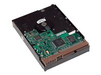 HP - Harddisk - 500 GB - intern - 3.5" - SATA 6Gb/s - 7200 rpm - buffer: 16 MB - for Workstation Z1 G5, Z2 G4, Z2 G5, Z2 G8, Z2 G9, Z238, Z4 G4, Z420, Z6 G4, Z620, Z640, Z8 G4 LQ036AA