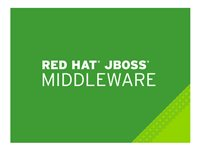 JBoss BPM Suite - premiumabonnement (1 år) - 4 kjerner MW00150