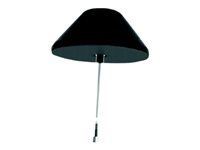 Cisco Integrated 4G Low-Profile Outdoor Saucer Antenna - Antenne - mobiltelefon - rundtstrålende - utendørs, takmonterbar - svart - for P/N: C1111-4PLTELA, C1111-8PLTEEA-DNA, C1113-8PLTEEA, C1117-4PLTEEA, C1117-4PLTELA ANT-4G-SR-OUT-TNC=