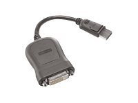 Lenovo - DVI-kabel - enkeltlenke - DisplayPort (hann) til DVI-D (hunn) - 20 cm - grå 45J7915