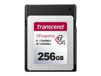 Transcend CFexpress 820 - Flashminnekort - 256 GB - CFexpress Type B TS256GCFE820