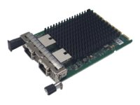 FUJITSU PLAN EP Intel X710-T2L - Nettverksadapter - 10GbE - for PRIMERGY RX2530 M6, RX2540 M6 PY-LA342