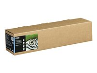 Epson Fine Art - Bomull - glatt matt - 490 mikroner - naturlig - Rull (61 cm x 15 m) - 300 g/m² - 1 rull(er) klutepapir - for SureColor SC-P20000, SC-P6000, SC-P7000, SC-P7000V, SC-P8000, SC-P9000, SC-P9000V C13S450264